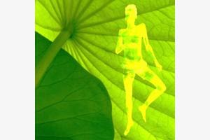 The man in nature (collage) The man in nature (collage)