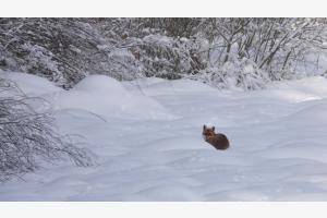 Le Sentier
