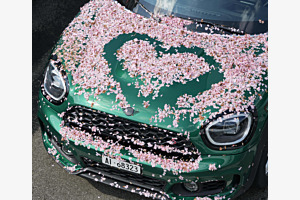 Lieblingsauto