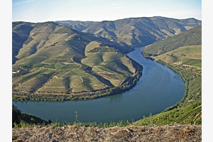 Am Douro