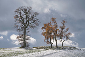 Erster Schnee