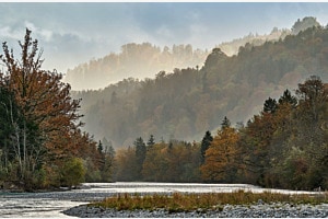 Herbststimmung an der Aare