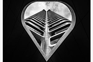 the heart