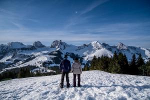 Nachtwandern im Gantrischgebiet