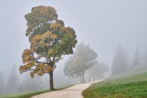 Herbststimmung Herbststimmung