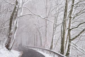 Winterstimmung Winterstimmung