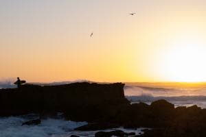 Free as the ocean Free as the ocean