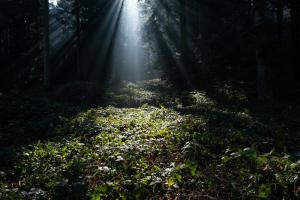 Vorfrühlingszeit Vorfrühlingszeit