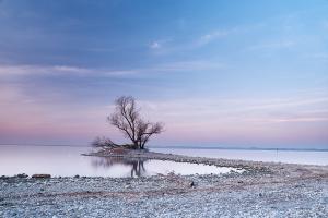Morgenruhe am Bodensee Morgenruhe am Bodensee
