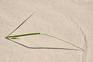 Zeichen im Sand