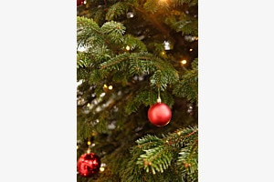 klassisch Weihnachten