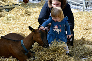 Menschen u. Tiere