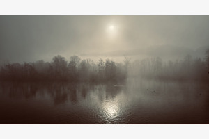 Am Wohlensee