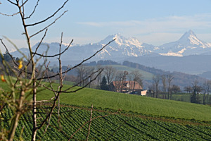 Alpen vom Bantiger aus