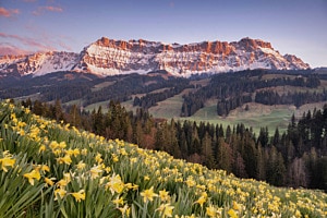 Landschaften 