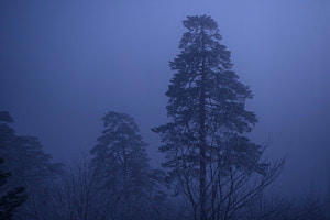 Wintermood Wintermood