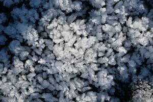 Der Frostwald Der Frostwald