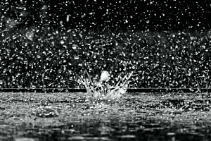 Splish Splash