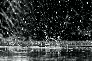 Regenkronen
