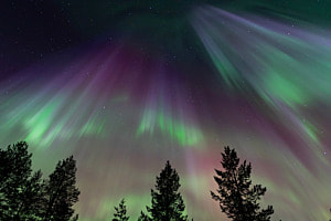 Aurora Explosion