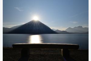 Niesenlicht