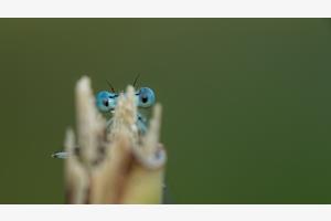 Gut versteckt Gut versteckt