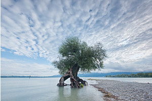 Wolkenmeer