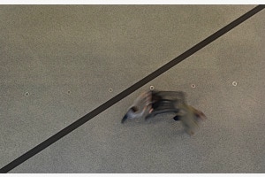 Einkauf