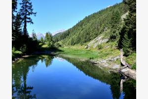 Sommermorgen am Bergsee