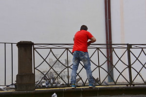 Stadt Tauben