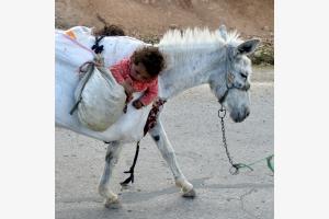Unterwegs in den Zagros-Gebirge