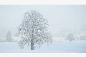 Winterruhe Winterruhe