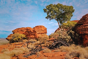 Down under
