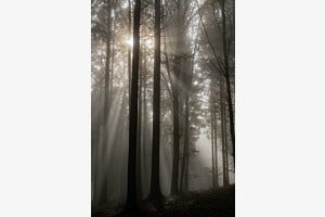 Das Ende der Dunkelheit