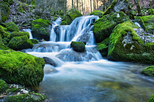FLUSS DES LEBENS