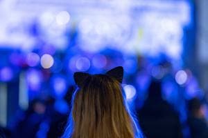 Katze im Lichterhimmel