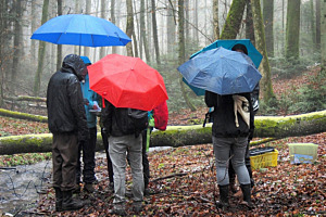 Feldkurs im Regen