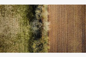 Fields Fields