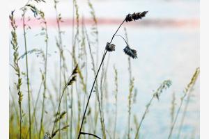 Abends am Fluss Abends am Fluss