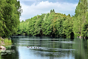 Flusslandschaft Finnland