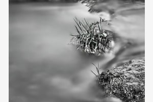 Flusslauf