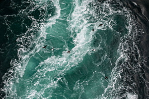 Flying above the sea