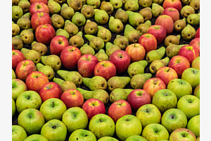 Früchte an der BEA
