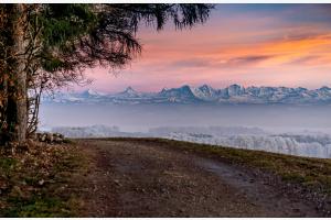 Frostiger Winterabend mit Blick auf die berner Alpen