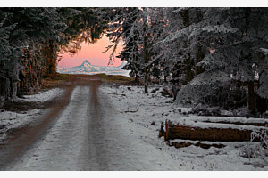 Frosty path to Schreckhorn
