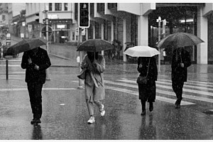 the beatles abbey road 