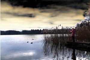 In the Mood In the Mood