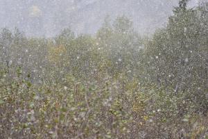 Wintereinbruch Wintereinbruch