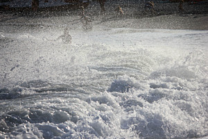 Splash
