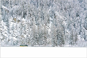 Gelb in Weiss Gelb in Weiss